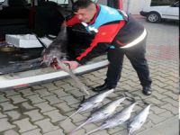 125 santimetrenin altında Kılıç balığını tutmak yasak