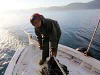 Gökova Körfezi'nin deniz sevdalısı balıkçı kadınları