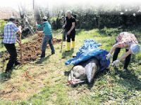 Türkiye kıyılarında 10 yıl aradan sonra balina karaya vurdu