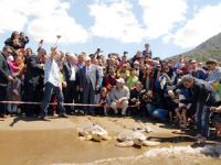 Uydu cihazı takılan 4 caretta caretta denize uğurlandı