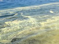 Konyaaltı Plajı'nda deniz yüzeyinde tabaka oluştu