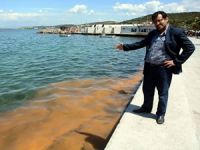 Aliağa' da denizdeki turuncu tabaka balık yumurtası çıktı