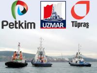 Nemrut Körfezi'nde rekabete açılan kılavuzluk ve römorkör hizmetleri arap saçına döndü