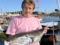 Balıkçı ağlarına Gökova Körfezi'nde 5 kiloluk balon balığı takıldı