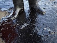 ABD'nin California'da eyaletinde "Acil Durum" ilan edildi