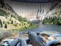 Kemah Barajı için alınan ÇED raporuna mahkemeden ret