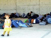 Muğla'da ve İzmir'de 200'den fazla kaçak yakalandı