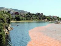 Erdek sahilleri kızıla boyandı, vatandaşlar şaşkına döndü