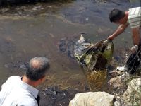 Çamgazi Baraj Göleti'ne, petrol atığı döküldü