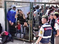 Bodrum'da Sahil Güvenlik Komutanlığı ekipleri 185 kaçak yakaladı