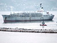 Bandırma Limanı'na gemi ile gelen 9 bin büyükbaş hayvan, ilçeyi kokuttu!