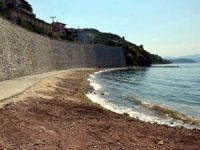 Bursa'da 'Kadınlara özel' plaj bayramdan sonra açılacak