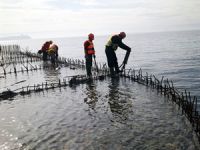 Dilovası Belde Liman'ın alt yapı inşası nihayet tamamlandı