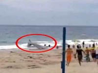 Amerika'da uçak plaja çakıldı