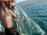 Van Gölü'nde İnci Kefali av yasağı sona erdi