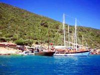 Kleopatra Adası aylık 25 bin Euro'dan kiralanacak