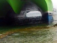 Ege'de Türk turistlerin de içinde bulunduğu  feribot karaya oturdu