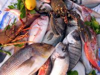 Deniz ürünü sanayicileri gelecekten umutlu