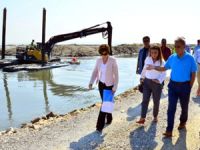 Kuş cenneti olan Homa Dalyanı, balıkların da cenneti olacak