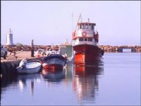 Denizlerde amatör denizcinin adı yok