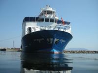 Marmara Denizi'nde Ro-Ro gemisinde yangın paniği