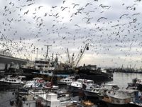 Tarihi Yarımada Projesi davasında yürütmenin durdurulması kararı kaldırıldı