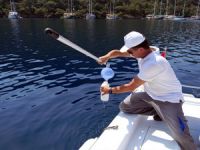 Muğla'da 114 noktada su kalitesi inceleniyor