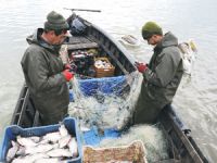 Balıkçılar, Manyas Gölü'nde avlanmama kararı aldı