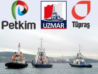 Nemrut Körfezi'ndeki rekabet, mahkeme kararıyla sona erdi