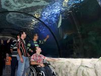 Deniz Dünyası'nı 1 milyon ziyaretçi ağırladı