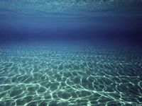 Akdeniz'de balık stoklarının yüzde 95'i avlanmış durumda