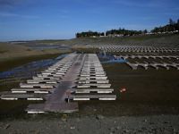 Kaliforniya eyaletindeki Marina tamamen kurudu