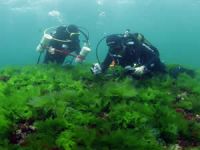 İstanbul’un kayıp adası  Vordonisi gün yüzüne çıkarılıyor