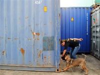 Ambarlı Limanı'nda 13 milyon lira olan kaçak sigara ele geçirildi