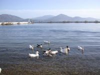 Eğirdir Gölü elektrikli tekneyle gezilecek