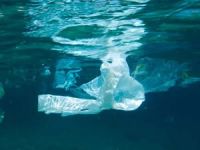 Deniz ve okyanuslarda yüz binlerce ton plastik yığını yüzüyor