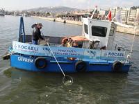 İzmit Körfezi'nde 17 gemiye 822 bin lira idari para cezası uygulandı