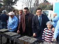 Sinop hamsisi İstanbul'da görücüye çıktı