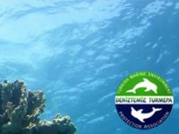 TURMEPA'dan  ‘Denizleri Koruma Deklarasyonu’