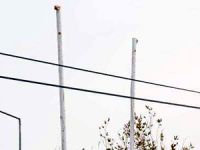 Akkuyu Nükleer Güç Santrali'nde Türk ve Rus bayrakları indirildi