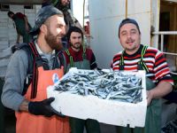 Çanakkale’de balıkçının ağlarına 5 ton sardalya takıldı