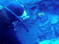 Marmaris’te Fatimilere ait 900 yıllık batık bulundu