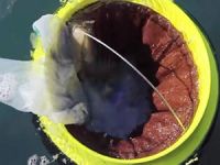Denizleri temizlemenin en iyi yolu ‘'Seabin Projesi’