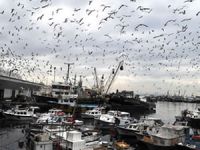 Kumkapı Balıkçılar Çarşısı yeniden yapılacak