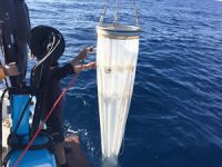 R/V TEAL TÜBİTAK Projesi çerçevesinde KKTC kıyılarını tarıyor