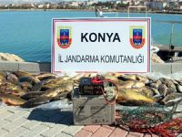 Beyşehir Gölü'nde elektroşokla avlanmaya suçüstü