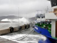 İstanbul'dan Trabzon'a giden bir kuru yük gemisi Amasra Limanı'na sığındı