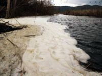 Azap Gölü'nün köpürmesi tedirginlik yarattı