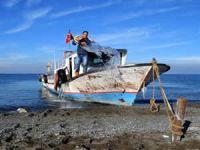 Van Gölü kıyısındaki Sarıkum köyü  balıkçıları iskele istiyor
