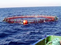 Çeşme'deki balık çiftliklerinin kirliliğine çözüm arayışı